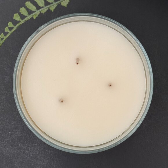 BBW Rainforest Jungle Bath & Body Works 3 Wick Candle - Picture 7 of 10